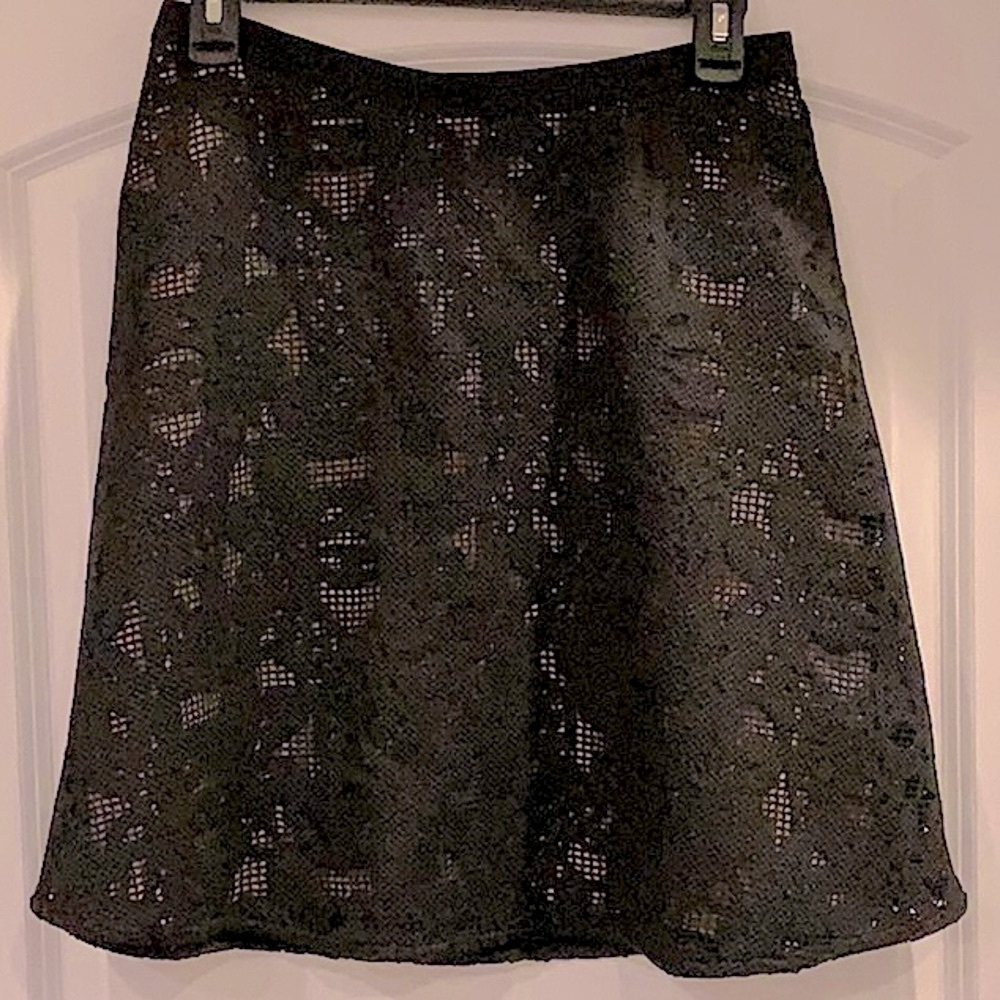 Ann Taylor lace A-Line Skirt
